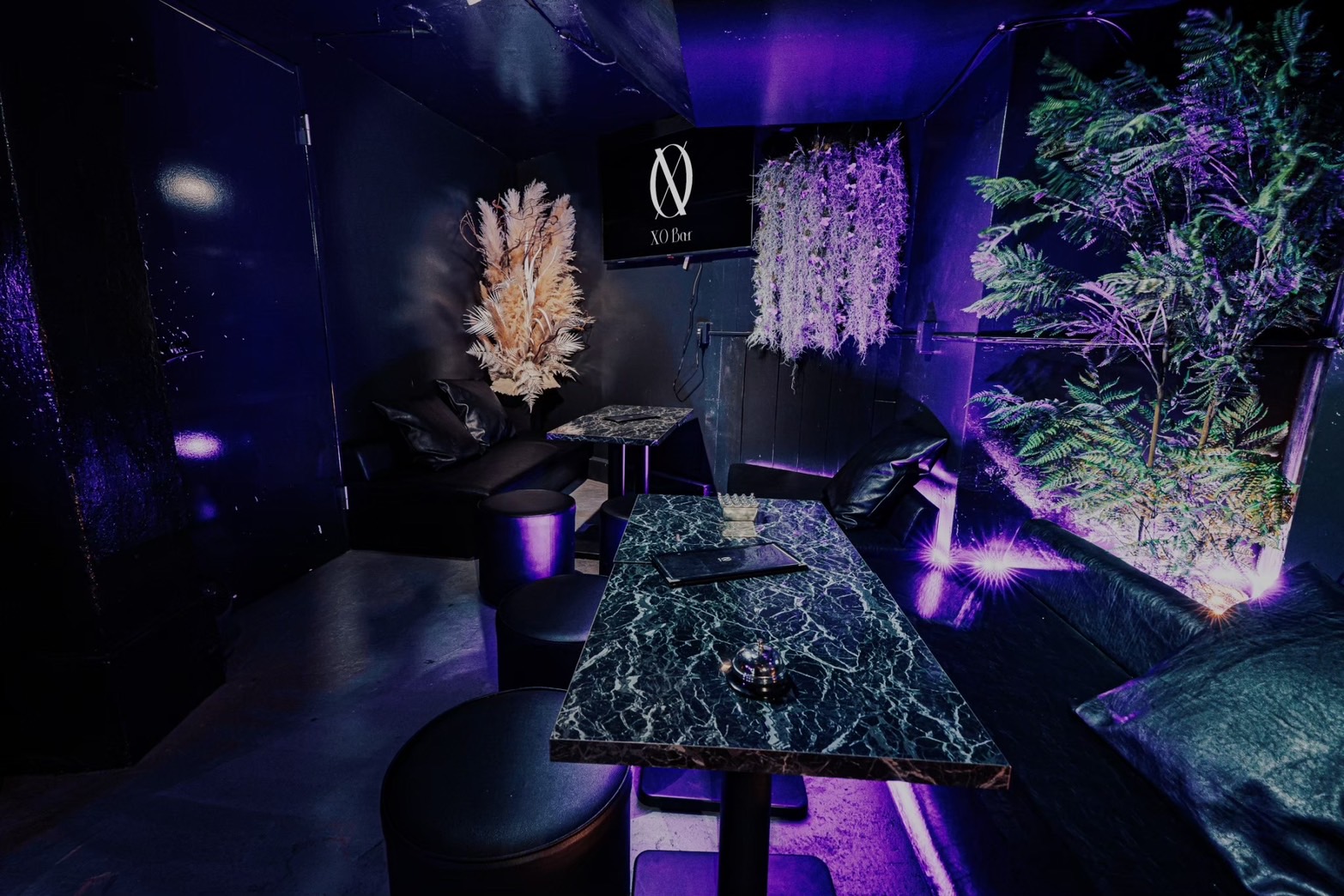 XO Bar 店内の様子 - 紫のライティングとスタイリッシュなインテリア
